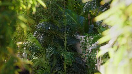 Hot Spa Lesbian Pussy